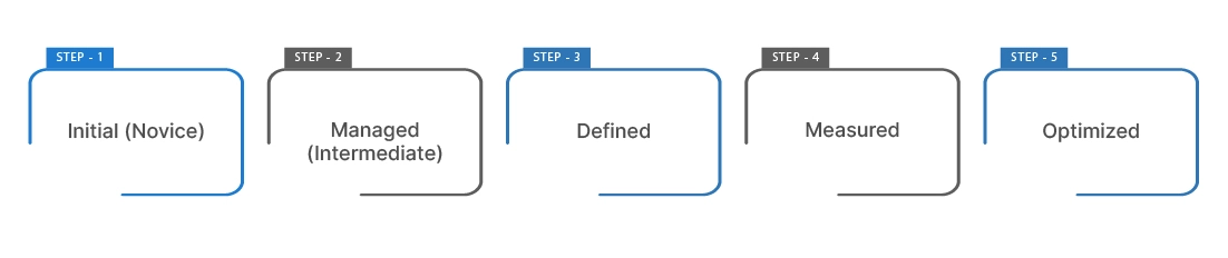 Levels of DevOps Maturity for Continuous Improvement